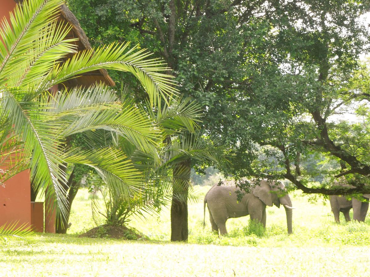 Thula Thula Exclusive Private Game Reserve & Lodge Ntambanana Exterior photo