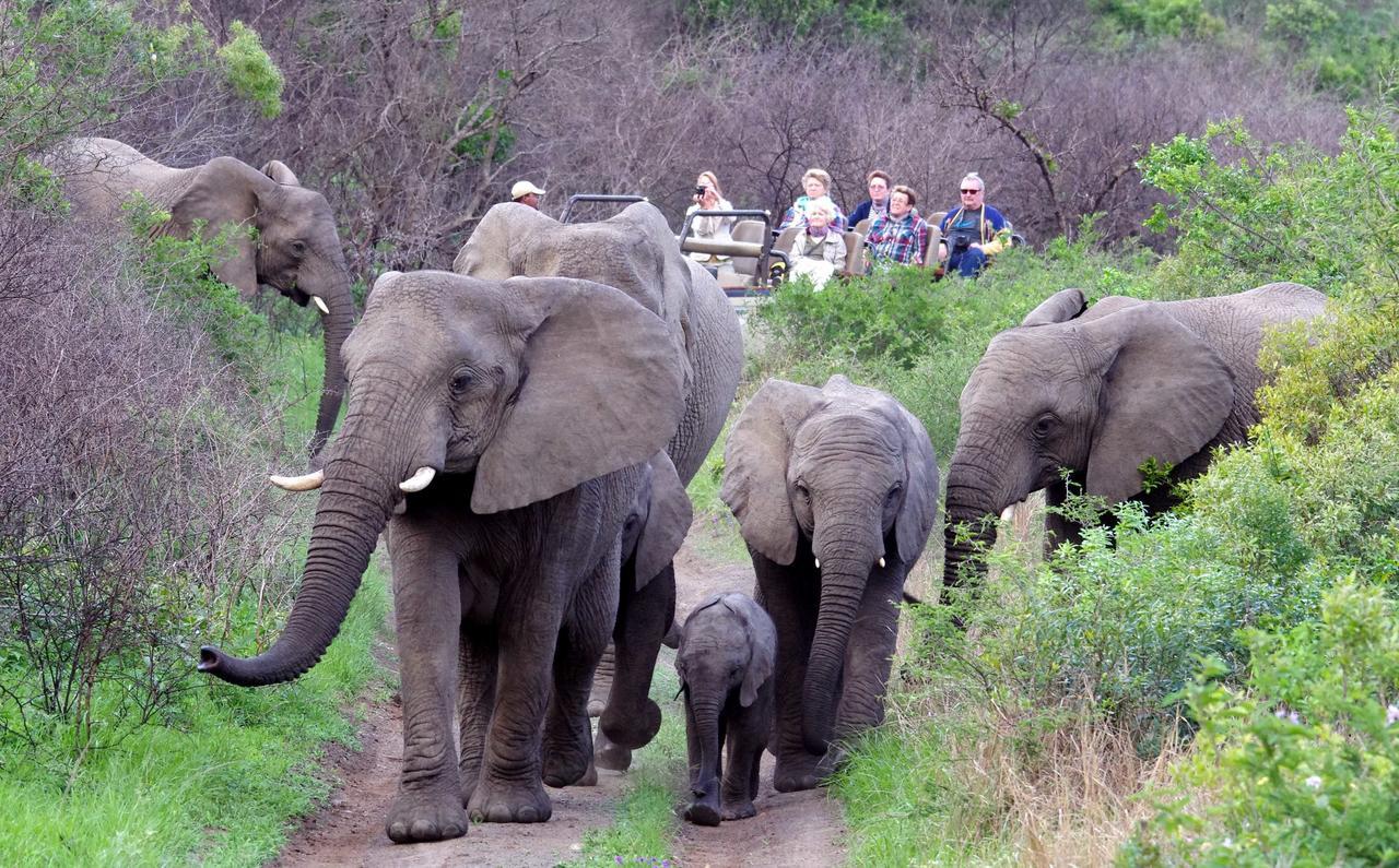 Thula Thula Exclusive Private Game Reserve & Lodge Ntambanana Exterior photo