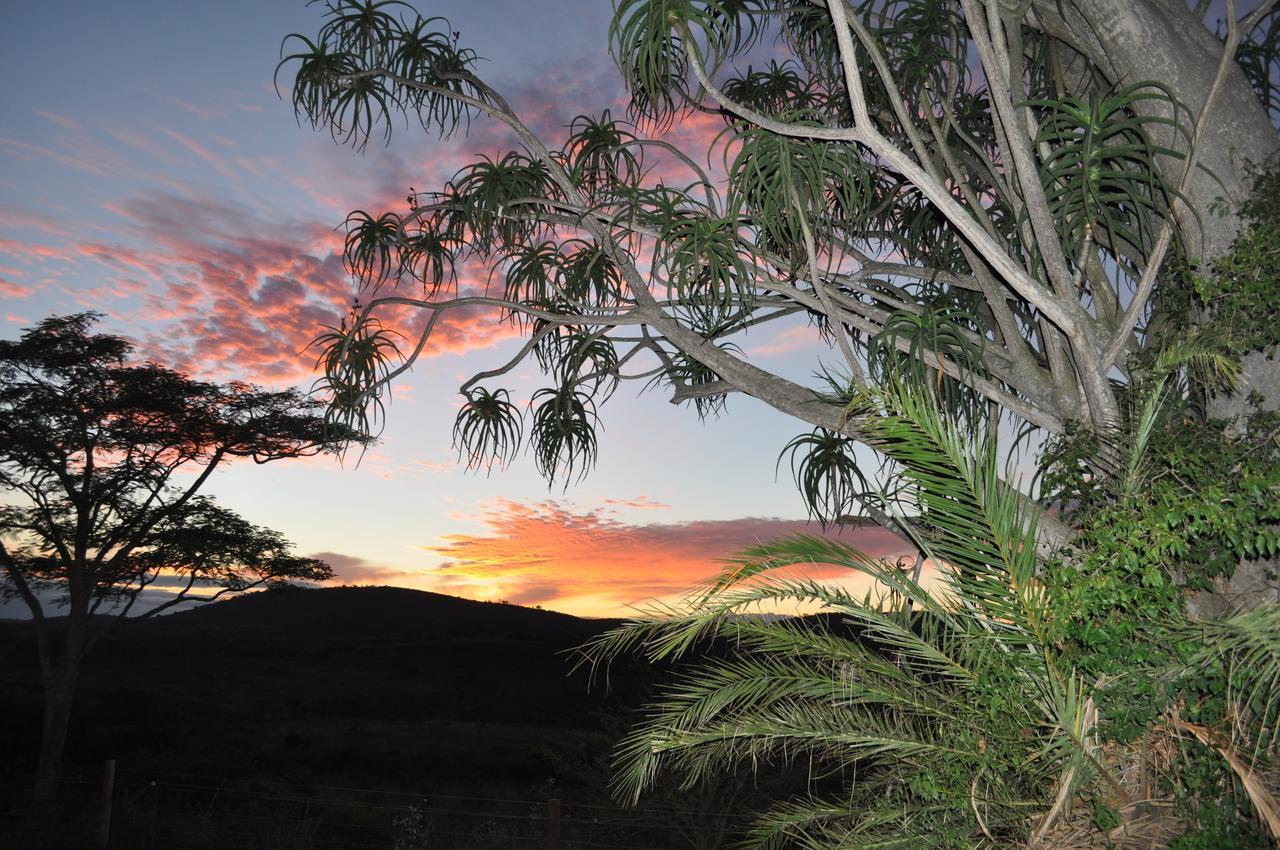 Thula Thula Exclusive Private Game Reserve & Lodge Ntambanana Exterior photo