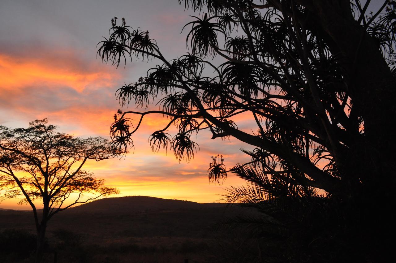 Thula Thula Exclusive Private Game Reserve & Lodge Ntambanana Exterior photo